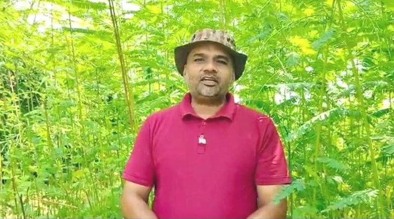 नीमच: बांस की खेती ने दिलाई ‘बैम्बू मैन’ की पहचान, किसान कमलाशंकर ने बनाया अनोखा बायोडायवर्सिटी पार्क