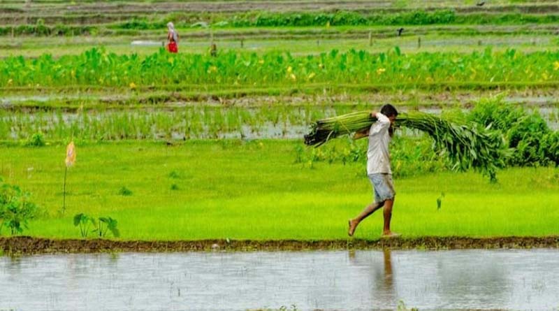 छोटे किसानों को अब 6 प्रतिशत ब्याज पर मिलेगा 10 लाख तक का कृषि ऋण
