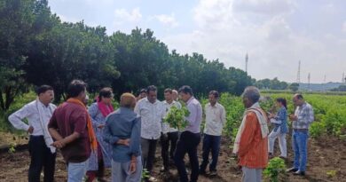 नागपुर के वैज्ञानिकों ने किया कपास फसल का निरीक्षण