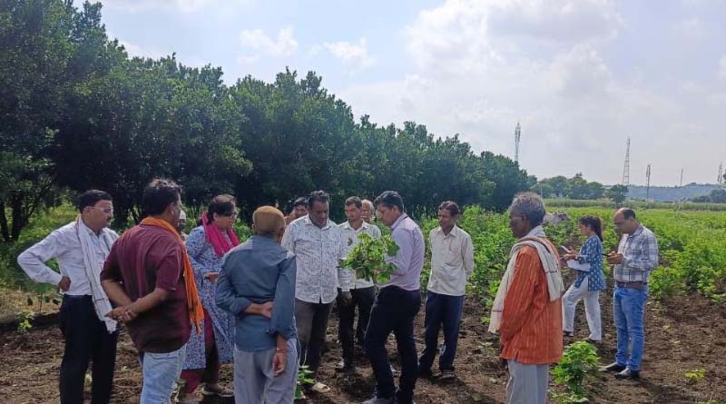 नागपुर के वैज्ञानिकों ने किया कपास फसल का निरीक्षण