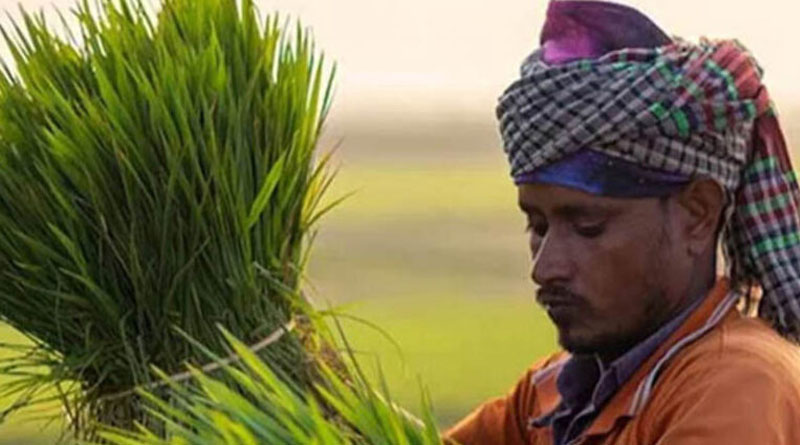 पीएम धन धान्य में सीधी देश में श्रेष्ठ