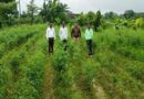 बालाघाट में प्राकृतिक खेती और DSR पद्धति को बढ़ावा, कृषि अधिकारियों ने खेतों व जैव संसाधन केंद्रों का किया निरीक्षण  