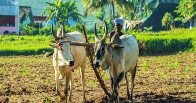 आलीराजपुर के 30 किसान सीखेंगे आधुनिक खेती के गुर, धार-बदनावर में तीन दिवसीय प्रशिक्षण सह-भ्रमण शुरू