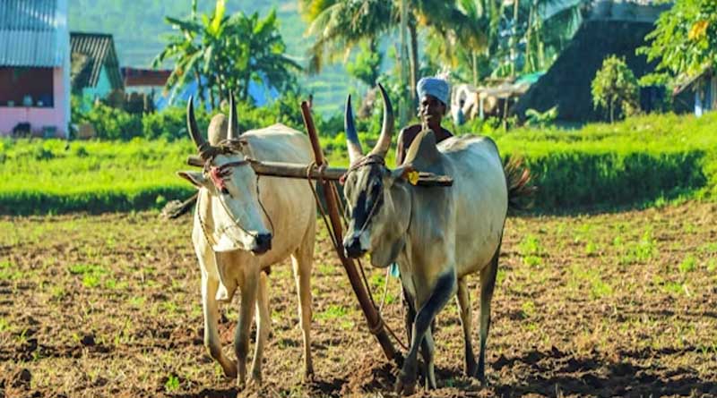 आलीराजपुर के 30 किसान सीखेंगे आधुनिक खेती के गुर, धार-बदनावर में तीन दिवसीय प्रशिक्षण सह-भ्रमण शुरू