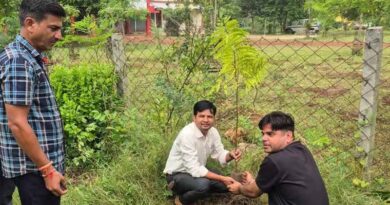 अशोकनगर : आयुष्मान आरोग्य मंदिरों पर रोपे औषधीय पौधे