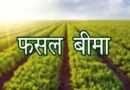फसल बीमा की बढ़ी मियाद, किसानों को राहत; 10 सितंबर तक करा सकेंगे बीमा