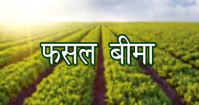 फसल बीमा की बढ़ी मियाद, किसानों को राहत; 10 सितंबर तक करा सकेंगे बीमा