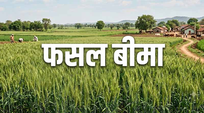 गौतमबुद्धनगर में फसल बीमा कराने की अंतिम तिथि बढ़कर 10 सितंबर हुई