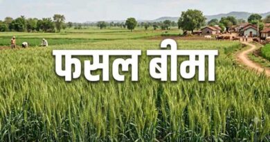 फसल बीमा योजना में राजस्थान को मिला देश में चौथा स्थान, किसानों को 35,600 करोड़ के क्लेम