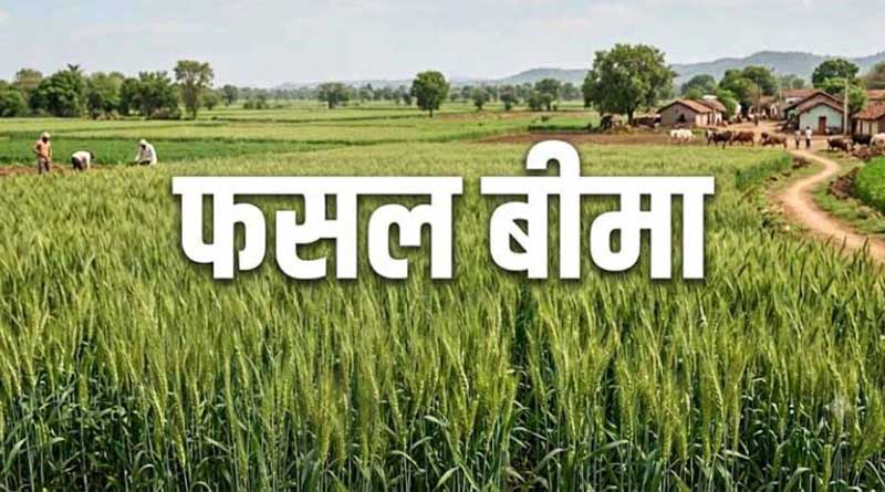 फसल बीमा योजना में राजस्थान को मिला देश में चौथा स्थान, किसानों को 35,600 करोड़ के क्लेम