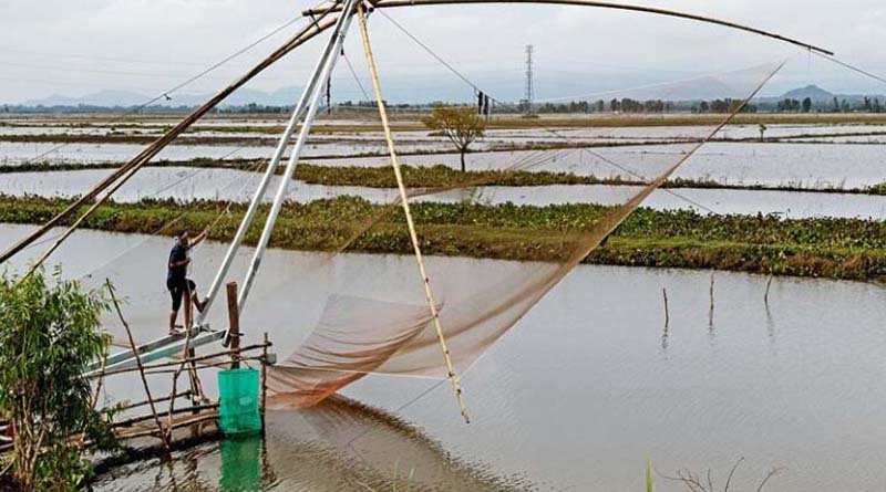 छिंदवाड़ा : प्रधानमंत्री मत्स्य किसान समृद्धि सह योजना : ऑनलाइन आवेदन प्रक्रिया शुरू