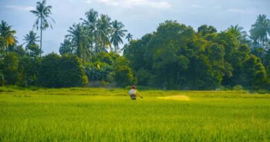 तमिलनाडु: सहकारी समितियों को फसल लोन वसूली रोकने का आदेश, 30 सितंबर तक पात्र किसानों को मिलेगा नया कर्ज