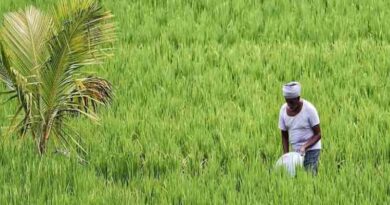 शहडोल: सर्वोत्तम कृषक पुरस्कार हेतु 30 सितम्बर तक आवेदन आमंत्रित