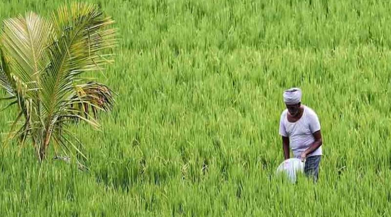 शहडोल: सर्वोत्तम कृषक पुरस्कार हेतु 30 सितम्बर तक आवेदन आमंत्रित