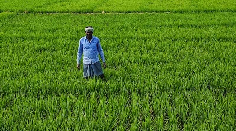 खेती के साथ सौर ऊर्जा से भी कमाई करेंगे किसान, पीएम-कुसुम के अगले चरण में नया घटक