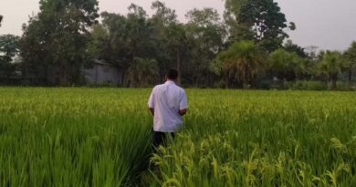 सीहोर: किसानों को कृषि की उन्नत तकनीकें अपनाने पर अधिक मुनाफा