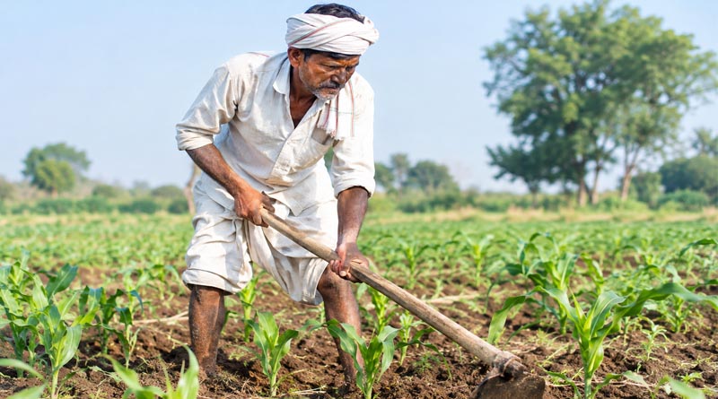 पश्चिम बंगाल के बजट में किसानों को बड़ी राहत: MSP से 200 रुपये ज्यादा कीमत, कृषि बिजली पर सब्सिडी