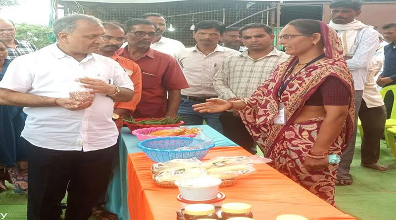 छिंदवाड़ा: टेमनी खुर्द पहुंचे कृषि विभाग के संचालक भार्गव, बायो रिसोर्स सेंटर का किया निरीक्षण