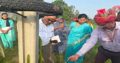 भोपाल: दो पौधों से शुरू की ड्रैगन फ्रूट की खेती, अब 100 पौधों की बगिया तैयार  