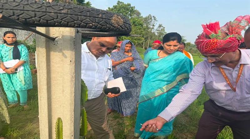 भोपाल: दो पौधों से शुरू की ड्रैगन फ्रूट की खेती, अब 100 पौधों की बगिया तैयार
