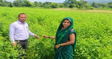 अनीता बाई ने एक हेक्टेयर में अपनाई अरहर की उन्नत खेती, वैज्ञानिक तकनीक से मिली शानदार फसल