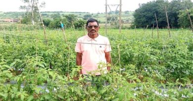 छिंदवाड़ा के सोविंद ने अपनाई प्राकृतिक खेती, 30 सप्ताह में जैविक हाट में बेची ₹90 हजार की सब्जियां