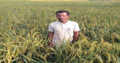 नलकूप ने बदली जिंदगी : अब खेती से हो रही डेढ़ लाख तक कमाई, जानिए कैसे  