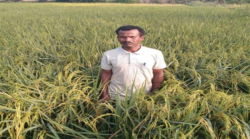 नलकूप ने बदली जिंदगी : अब खेती से हो रही डेढ़ लाख तक कमाई, जानिए कैसे