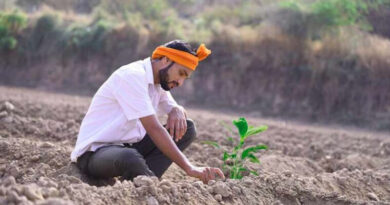 अनूपपुर: जैविक खेती से आत्मनिर्भरता की ओर बढ़ा परिवार