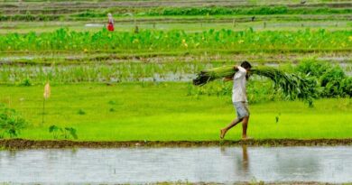 उत्तर प्रदेश में राज्य कृषि विकास योजना के तहत 286.46 करोड़ रुपये की परियोजनाओं को मंजूरी