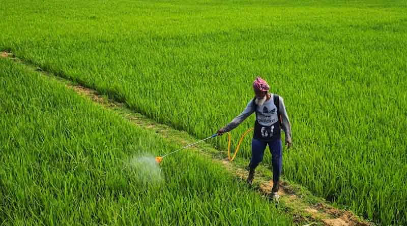 कीटनाशक छिड़काव में लापरवाही पड़ सकती है भारी, किसानों को सुरक्षा उपाय अपनाने की सलाह