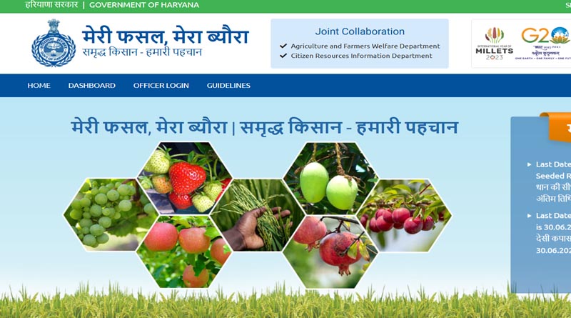 हरियाणा: 'मेरी फसल मेरा ब्यौरा' पोर्टल फिर खुला, वंचित किसान 27 सितंबर तक करा सकेंगे खरीफ पंजीकरण