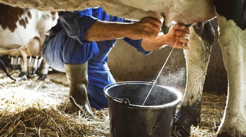 झाबुआ: दुग्ध समितियों के 30 सदस्य तीन दिवसीय प्रशिक्षण के लिए उज्जैन रवाना