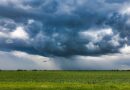 Weather Today: उत्तराखंड-UP में भारी से बहुत भारी बारिश का अलर्ट, MP समेत कई राज्यों में भी बरसेंगे बादल; IMD ने जारी किया पूर्वानुमान  