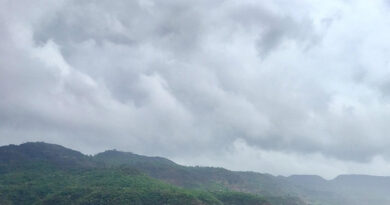 Weather Today: देश में फिर सक्रिय हुआ मानसून, ओडिशा में भारी से बहुत भारी बारिश की संभावना; MP, छत्तीसगढ़ और तेलंगाना में भी अलर्ट  