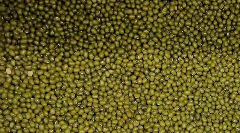 राजस्थान में मूंग की बंपर आवक, फिर भी किसानों को एमएसपी से कम दाम