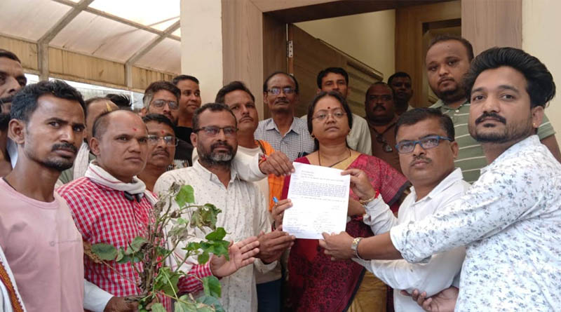 पांढुर्ना क्षेत्र में कपास की फसल सूखने से किसान चिंतित
