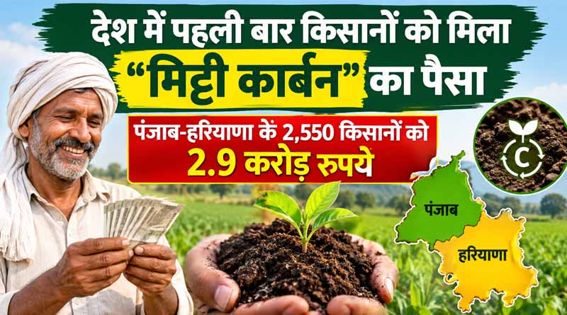 देश में पहली बार किसानों को मिला "मिट्टी कार्बन" का पैसा, पंजाब-हरियाणा के 2,550 किसानों को 2.9 करोड़ रुपये