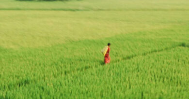 सतना में 19 सितंबर को होगा बलराम कृषि महोत्सव, 1500 किसान होंगे शामिल
