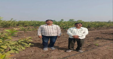 उद्यानिकी खेती की ओर बढ़ता सीहोर, पांच साल में 3,248 हेक्टेयर बढ़ा रकबा