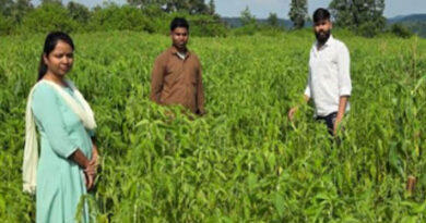 मंडला: चिया की खेती ने बदली किसान तीरथ उईके की खेती की तस्वीर