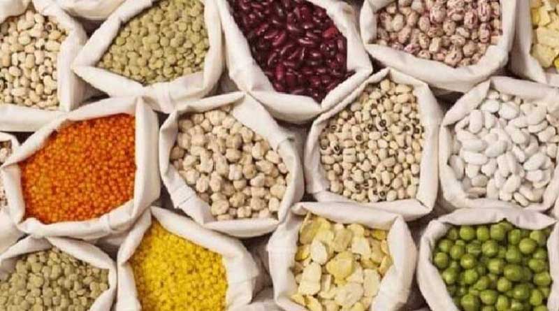 नकली और घटिया बीजों पर लगेगी लगाम, नए बीज कानून की तैयारी