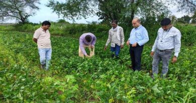 सिवनी: सोयाबीन फसल में रोग एवं कीटों की नियमित निगरानी करें किसान, वैज्ञानिक सलाह के अनुसार करें नियंत्रण