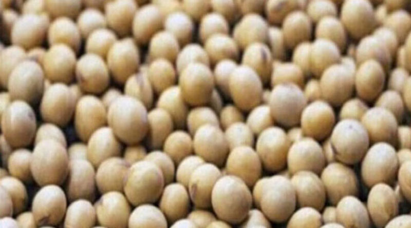 आज का सोयाबीन मंडी रेट (05 सितंबर 2026) 