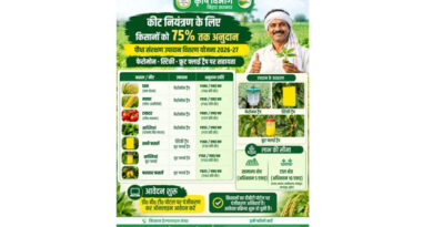 धान, मक्का, टमाटर समेत फसलों में कीट नियंत्रण के लिए 75% तक अनुदान, फेरोमोन और स्टिकी ट्रैप पर मिलेगी सहायता
