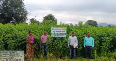 छत्तीसगढ़: 55 हेक्टेयर में अरहर की उन्नत किस्मों का प्रदर्शन, फूल आने की अवस्था में पहुंची फसल