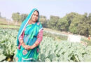 मऊगंज: सब्जी की खेती से आत्मनिर्भर बनीं उमाकली, अब हर महीने कमा रहीं ₹15 हजार  