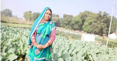 मऊगंज: सब्जी की खेती से आत्मनिर्भर बनीं उमाकली, अब हर महीने कमा रहीं ₹15 हजार  
