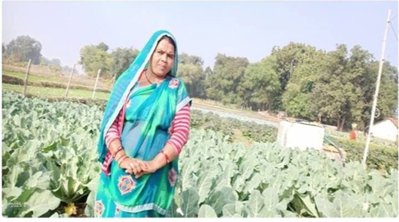 मऊगंज: सब्जी की खेती से आत्मनिर्भर बनीं उमाकली, अब हर महीने कमा रहीं ₹15 हजार
