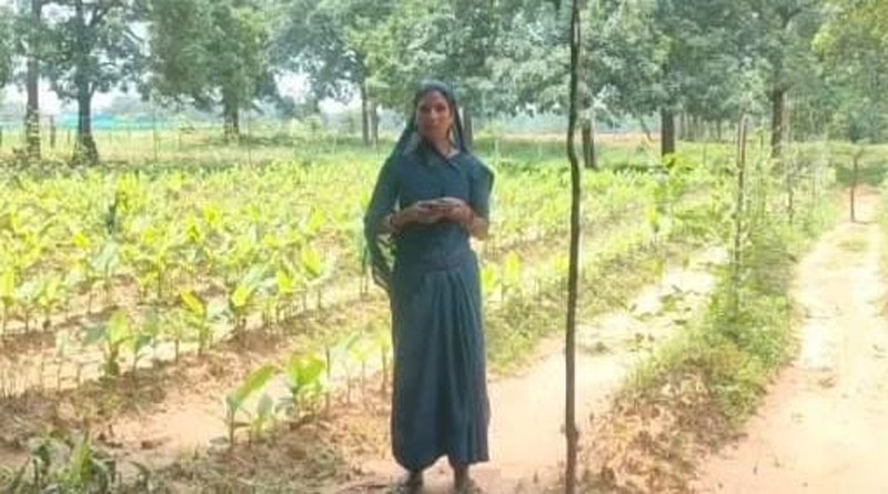 रायपुर: समेकित खेती से बदली केकराखोली की तस्वीर, 35 एकड़ में तैयार हुआ बहुफसली मॉडल